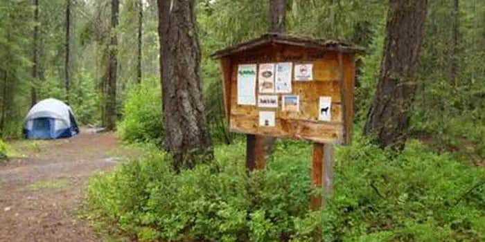 Camper submitted image from Grouse Creek Group Site