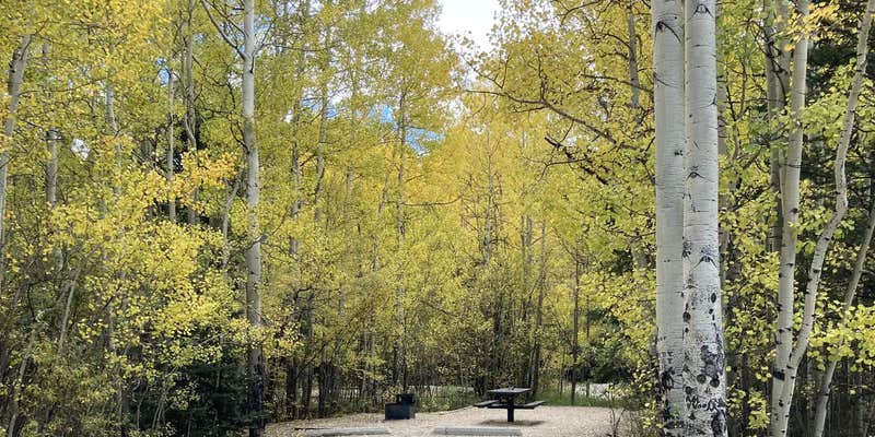 Camper submitted image from Cascade (colorado)