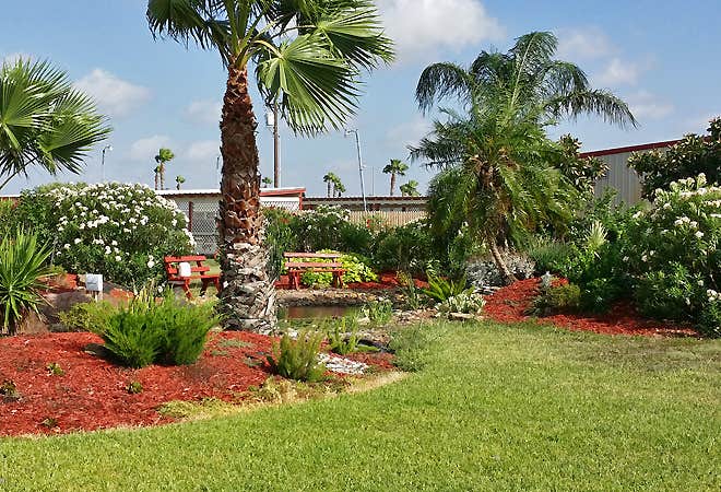 Camper-submitted photo at Encore Tropic Winds near Harlingen, TX