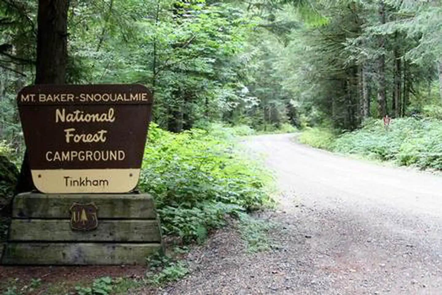 Camper submitted image from Tinkham Campground - 1