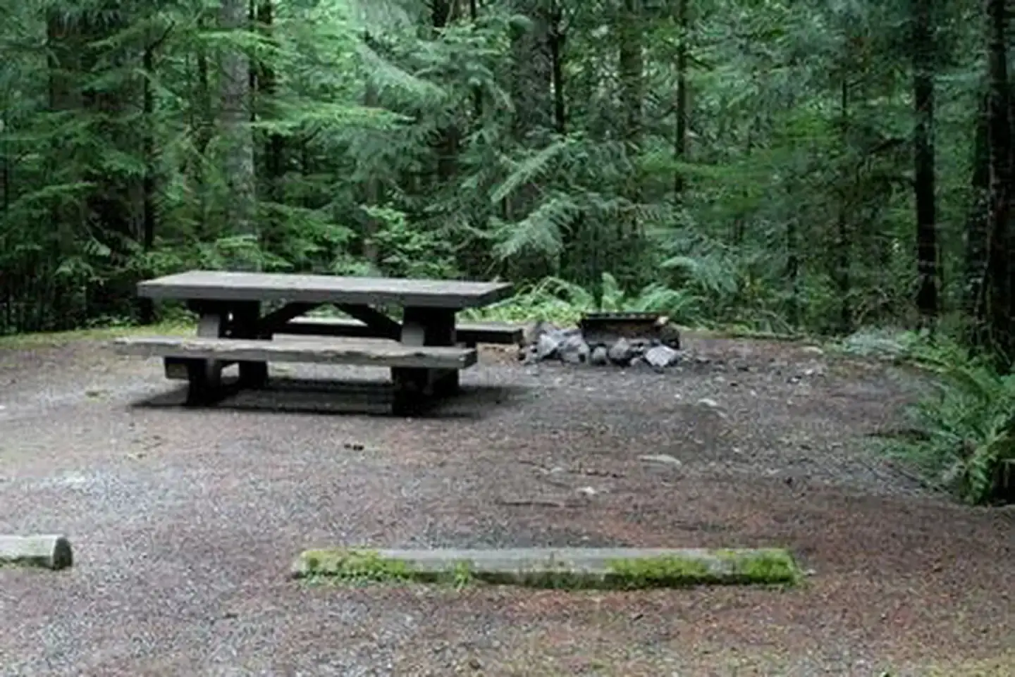 Camper-submitted photo at Tinkham Campground near Greenwater, WA