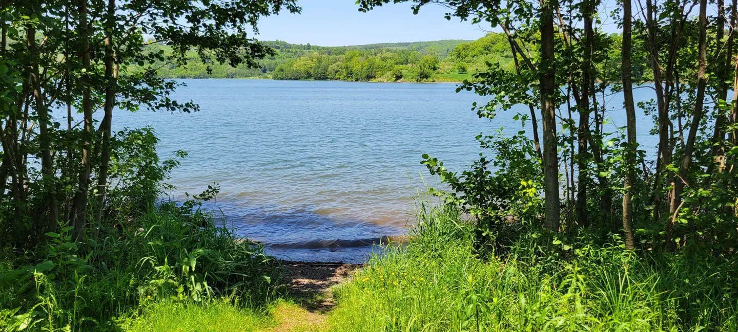 Camper submitted image from Ives Run - 1