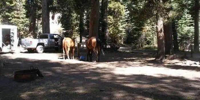 Camper submitted image from Agnew Meadows Horse Campground