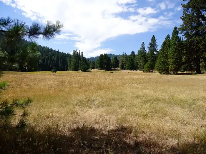 Camper-submitted photo at Princess near Independence, CA