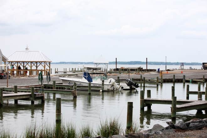 Camper-submitted photo at Grey's Point Camp near Mascot, VA