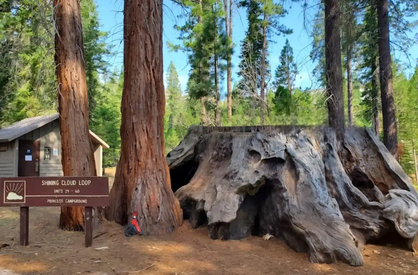 Camper-submitted photo at Princess near Independence, CA