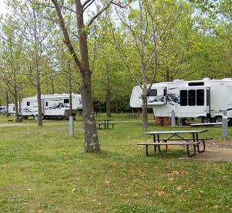 Camper-submitted photo from Naylor's Beach Campground Inc