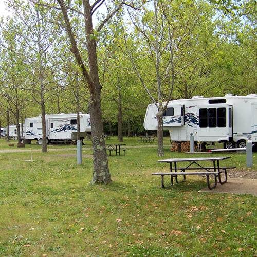 Camper submitted image from Thousand Trails Harbor View - 4