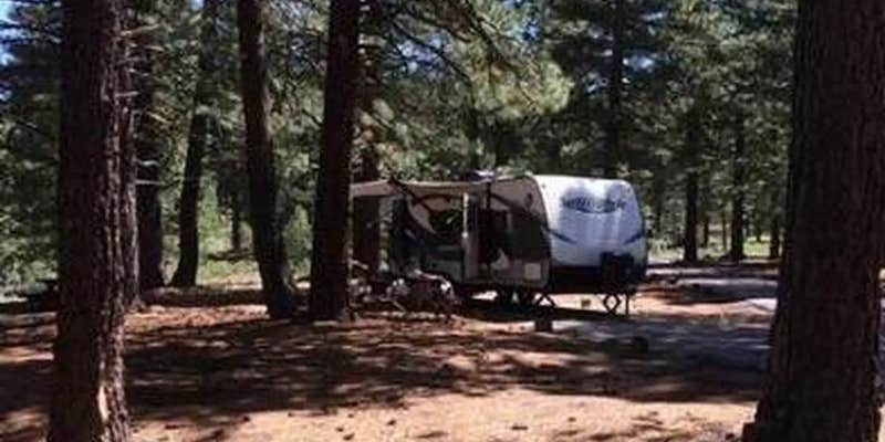 Camper submitted image from Plumas National Forest Grizzly Campground