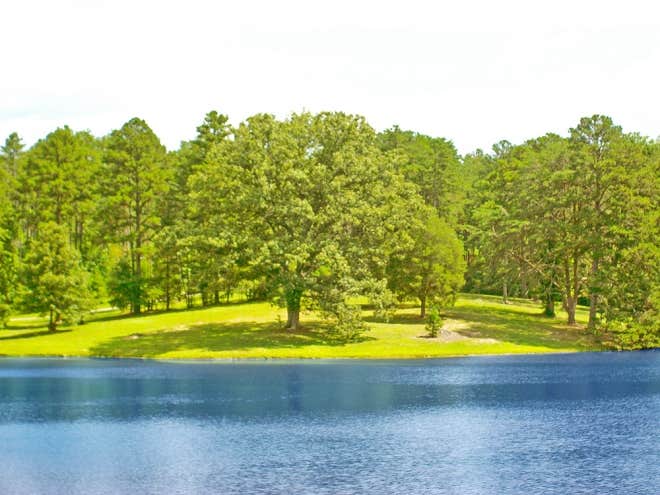 Camper-submitted photo at Thousand Trails Lynchburg near Buchanan, VA