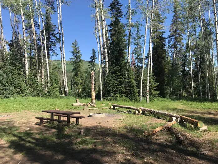 Camper submitted image from Miller Flat Reservoir Campground — Manti La Sal National Forest - 1