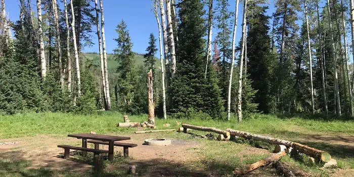 Camper submitted image from Miller Flat Reservoir Campground — Manti La Sal National Forest