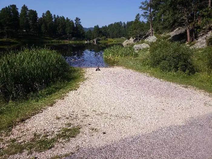 Camper submitted image from Bismarck Lake Campground - 1