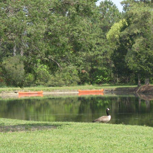 Camper-submitted photo at Thousand Trails Virginia Landing near Kilmarnock, VA