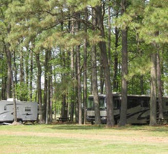 Camper-submitted photo from Pocomoke River State Park Campground