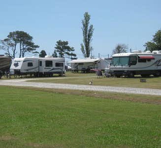 Camper-submitted photo from The Colonies RV and Travel Park