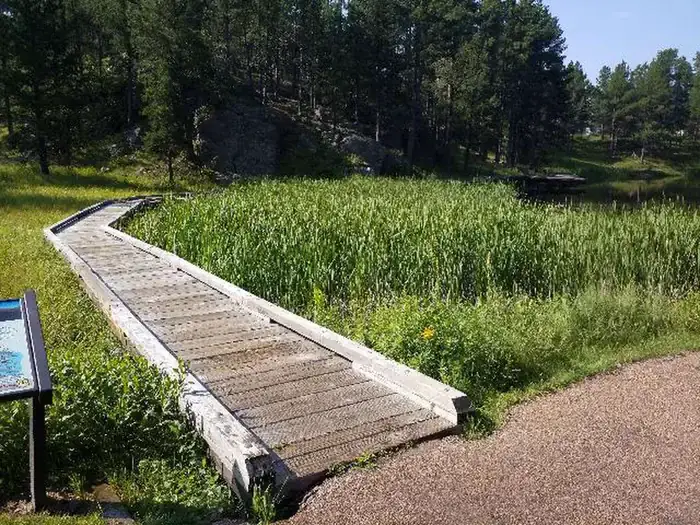 Camper-submitted photo at Bismarck Lake Campground near Pringle, SD