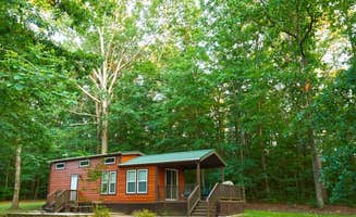 The Dyrt's photo of a cabin at Thousand Trails Williamsburg near Williamsburg, VA
