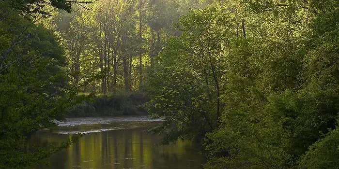 Camper submitted image from West Fork Campground (Clayton, Ga) — Chattahoochee Oconee National Forest