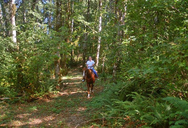 Camper submitted image from Thousand Trails Chehalis - 4