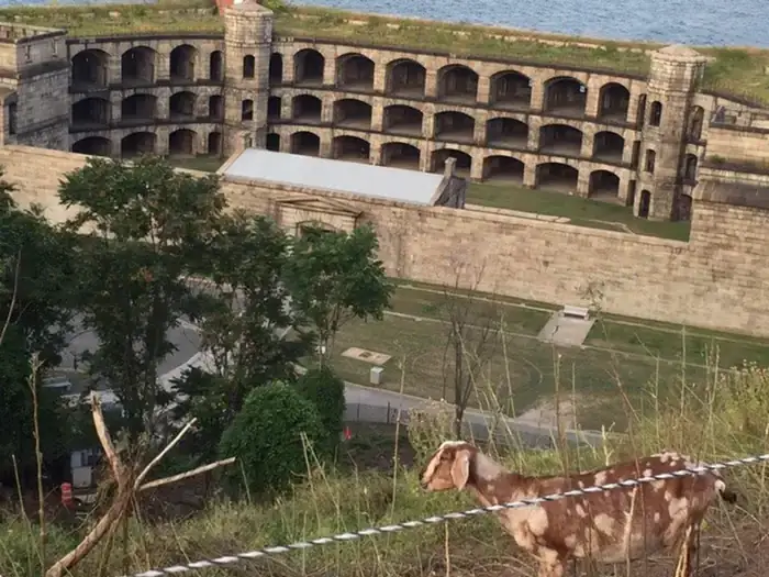 Camper-submitted photo at Staten Island — Gateway National Recreation Area - CLOSED for 2025 near Verona, NJ