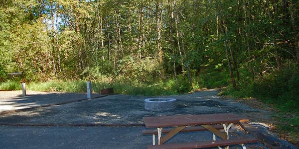 Camper submitted image from Thousand Trails Chehalis