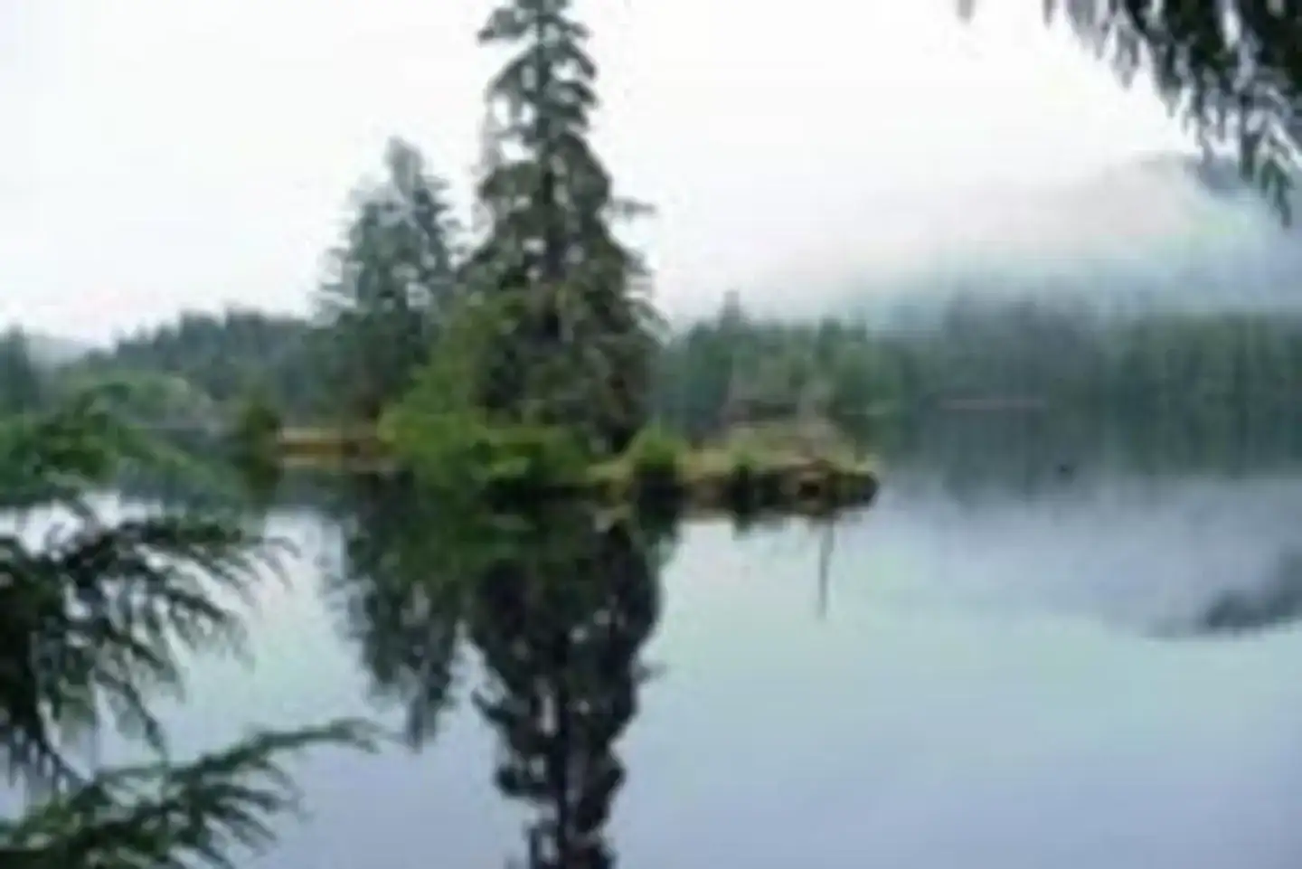 Camper-submitted photo at Sarkar Lake Cabin near Point Baker, AK