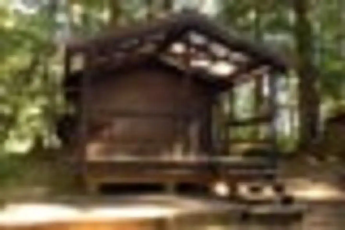 Camper-submitted photo at Sarkar Lake Cabin near Point Baker, AK