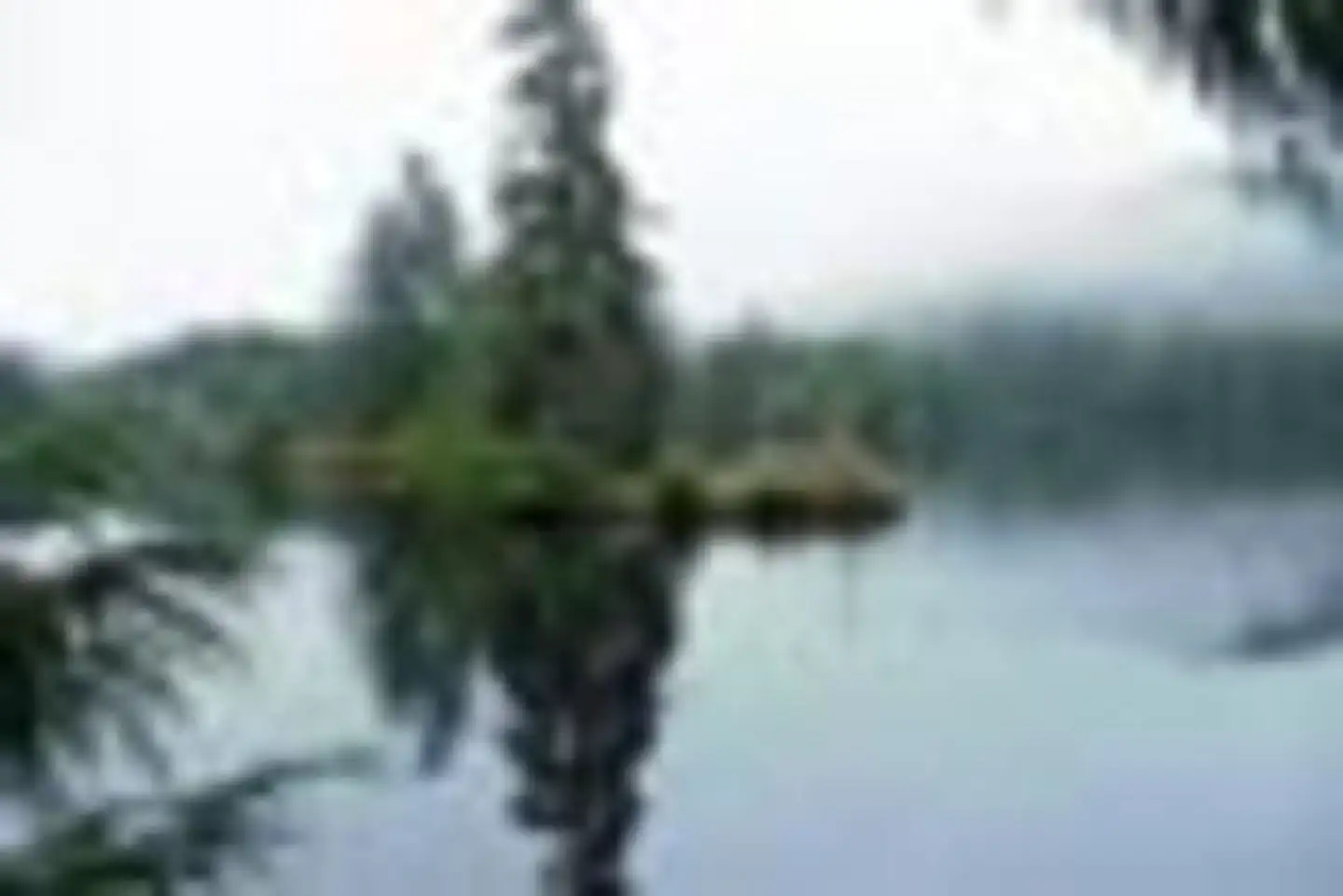 Camper-submitted photo at Sarkar Lake Cabin near Point Baker, AK