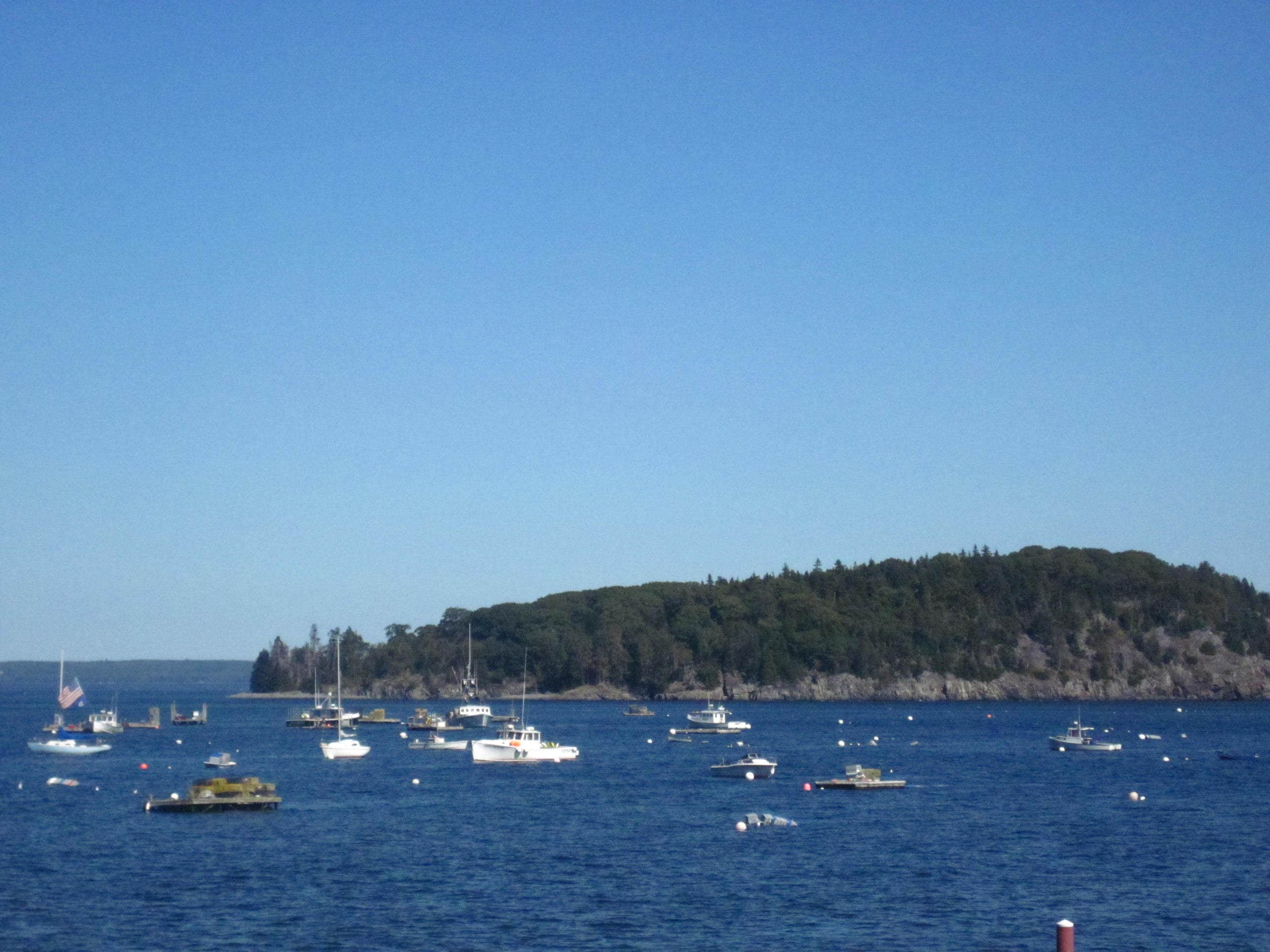 Camper submitted image from Seawall Campground — Acadia National Park - 4