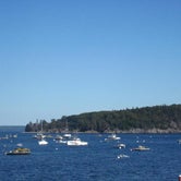 Review photo of Seawall Campground — Acadia National Park by Michael K., June 9, 2016