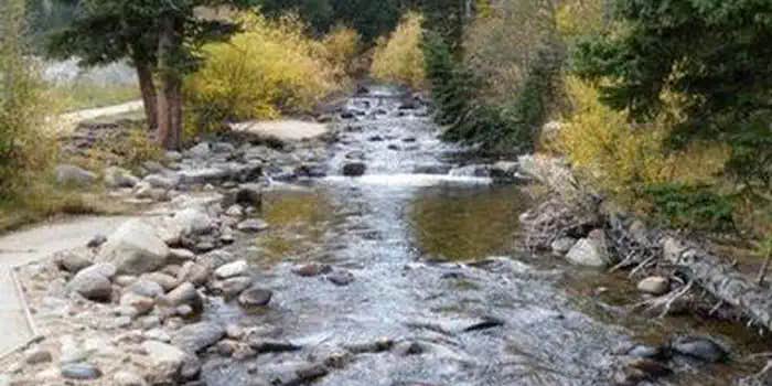 Camper submitted image from Roosevelt National Forest Camp Dick Campground