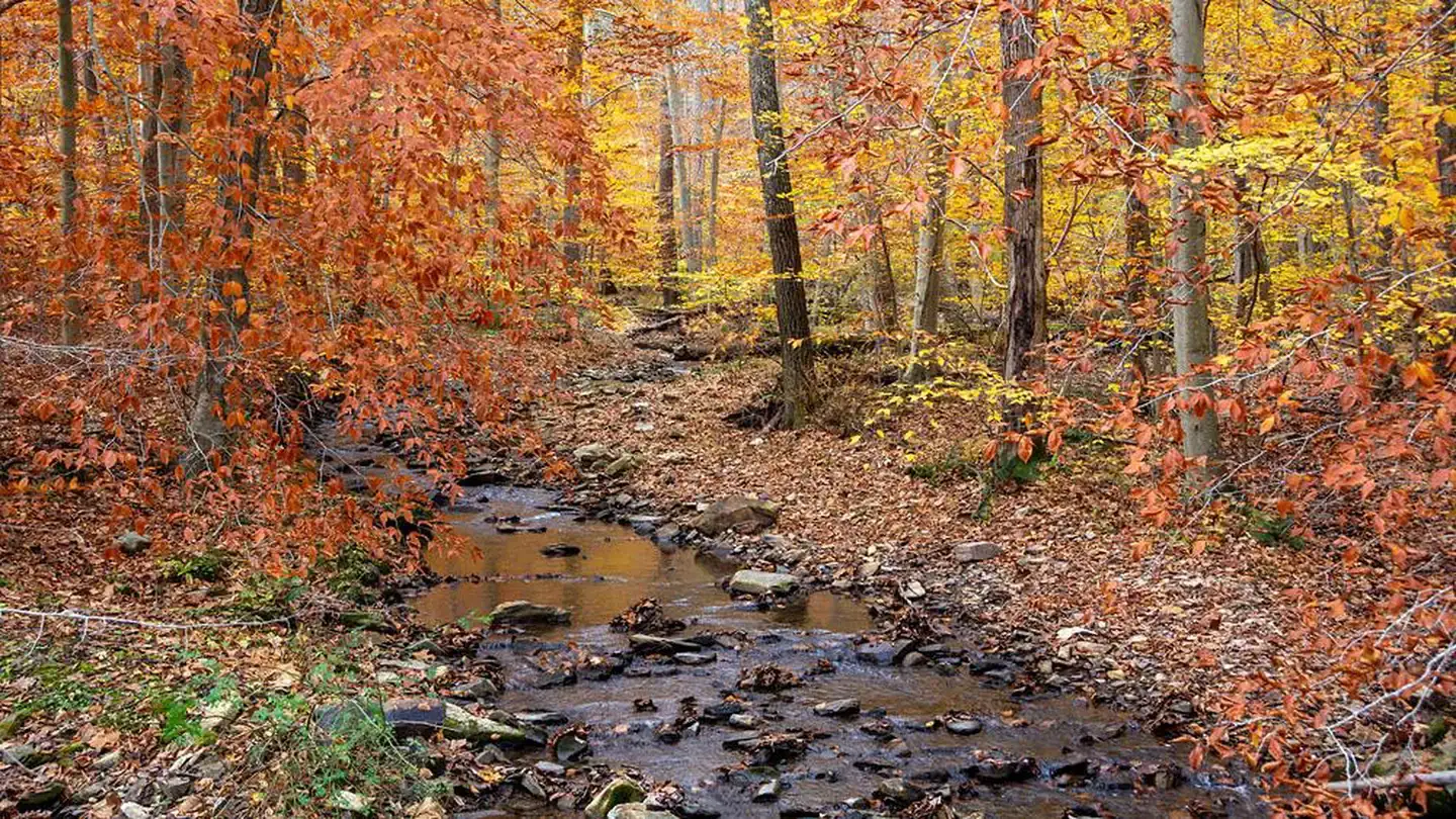 Camper-submitted photo at Owens Creek Campground — Catoctin Mountain Park near Rouzerville, PA
