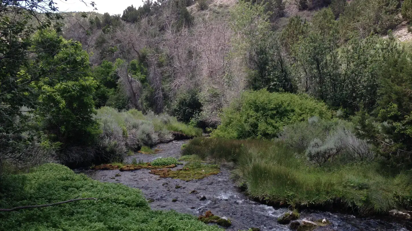 Camping near Lower Narrows: Clover Springs Campground — Salt Lake Field Office, Rush Valley, Utah