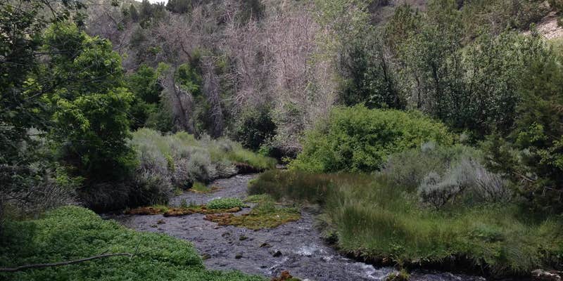 Camper submitted image from Clover Springs Campground — Salt Lake Field Office