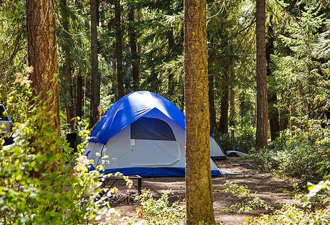 The Dyrt's photo at Thousand Trails Leavenworth near Ardenvoir, WA