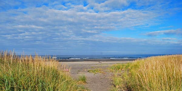 Camper submitted image from Thousand Trails Long Beach