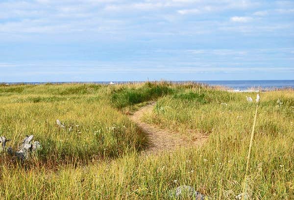Camper-submitted photo at Thousand Trails Long Beach near Astoria, OR
