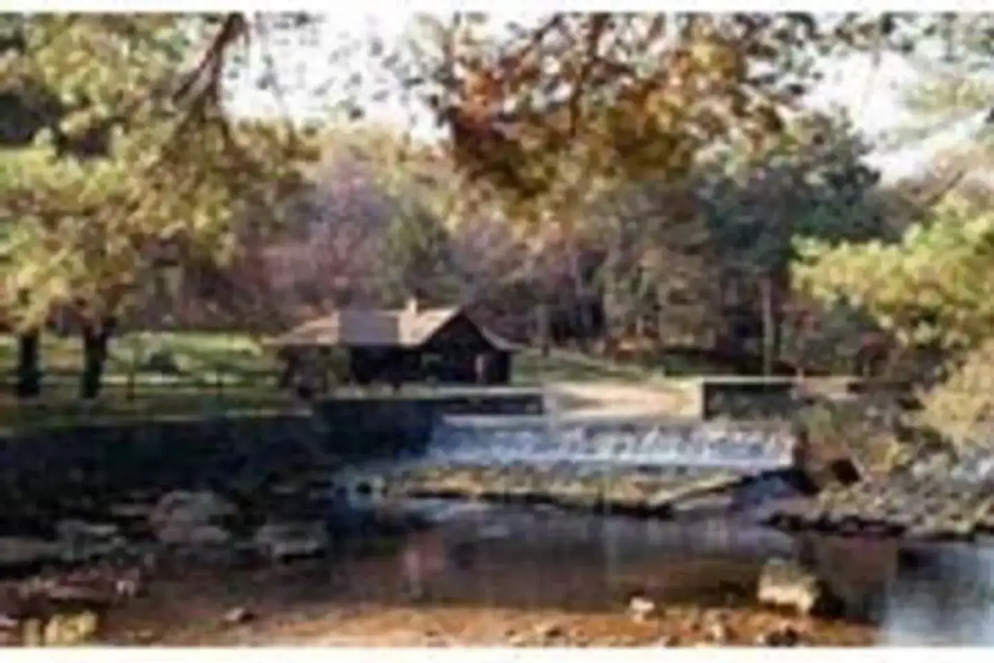 Camper-submitted photo at Loleta Recreation near Sigel, PA