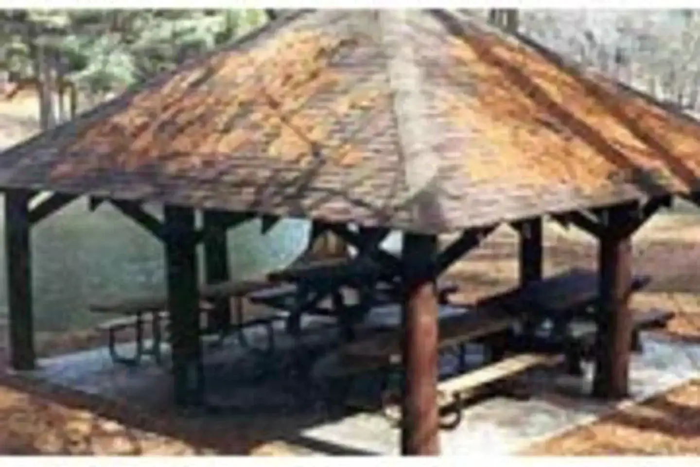 Camper-submitted photo at Loleta Recreation near Sigel, PA