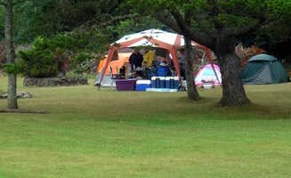 The Dyrt's photo at Thousand Trails Long Beach near Ilwaco, WA