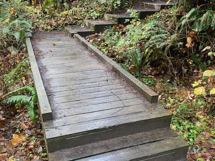 Camper-submitted photo at BLM Molalla River Recreation Area near Canby, OR