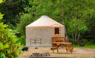 The Dyrt's photo at Thousand Trails Long Beach near Ilwaco, WA