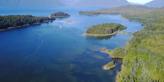 Camper submitted image from Appleton Cove Cabin