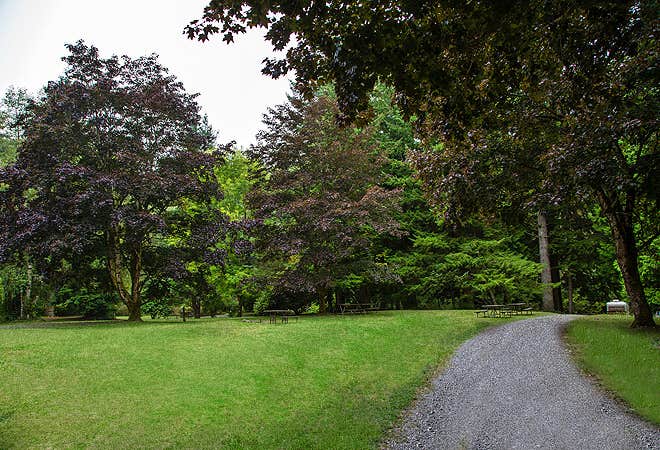 Camping near Greenstone Farm Camping: Thousand Trails Mount Vernon, Bow, Washington
