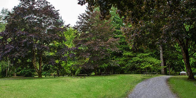 Camper submitted image from Thousand Trails Mount Vernon