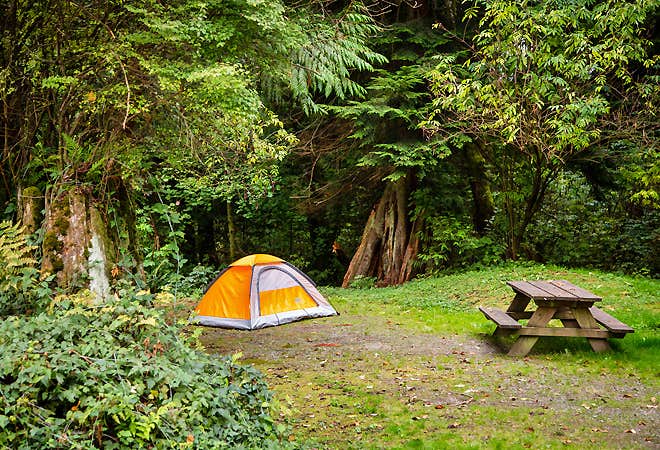 The Dyrt's photo at Thousand Trails Mount Vernon near Mount Vernon, WA