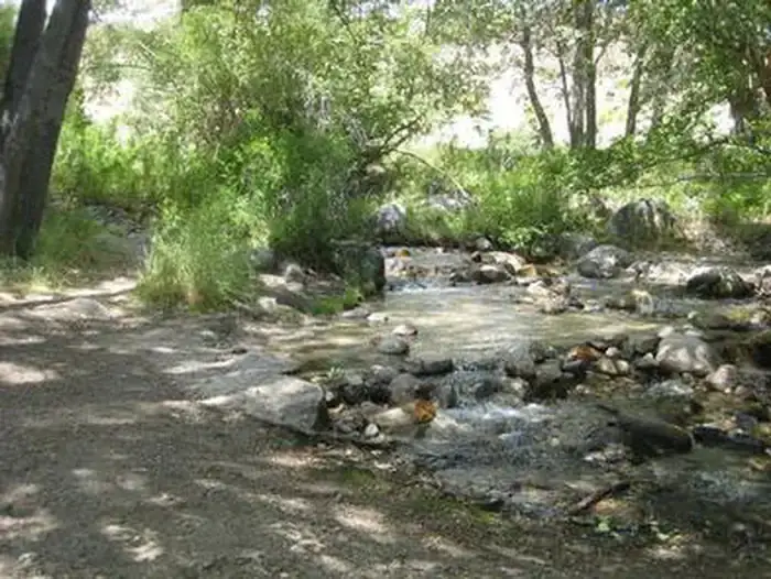 Camper-submitted photo at Grays Meadows near Seven Pines, CA