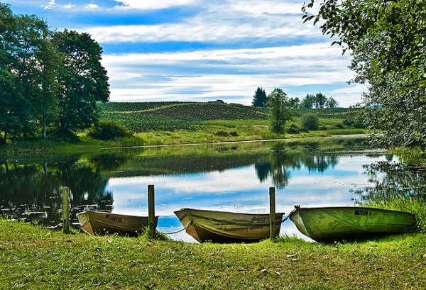 Camper-submitted photo at Thousand Trails Paradise near Toledo, WA