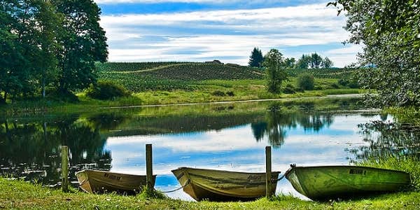 Camper submitted image from Thousand Trails Paradise